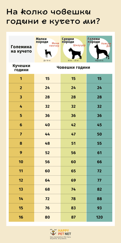 На колко човешки години се равняват годините на кучето ми